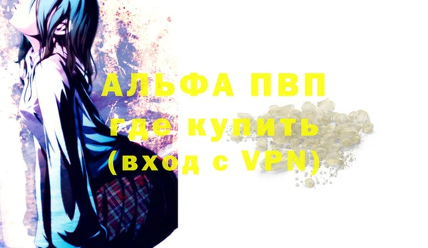 прущие грибы Куйбышев