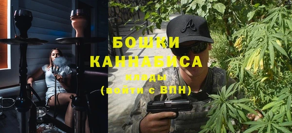 прущие грибы Липки