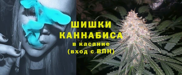 сатива Лихославль