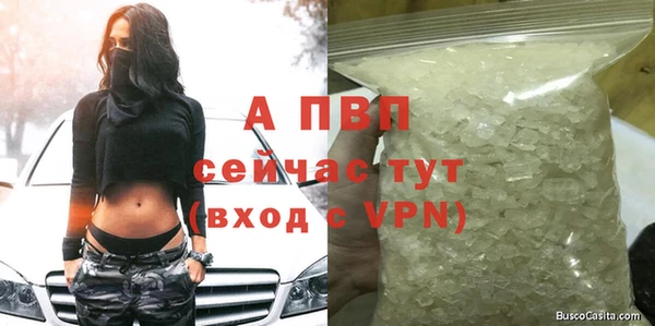 прущие грибы Липки