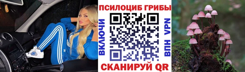 Галлюциногенные грибы Cubensis  Купить  Новоуральск 